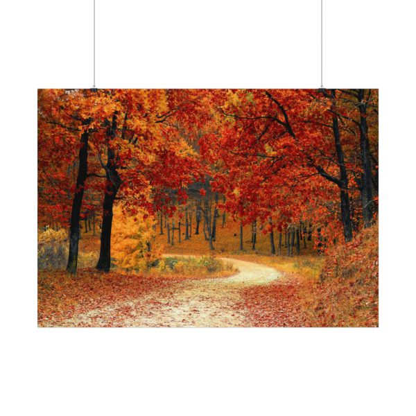 92408-441.jpg Fall Autumn Red Season Woods Poster