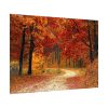 92408-442.jpg Fall Autumn Red Season Woods Poster