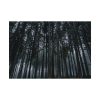 92408-445.jpg Cold Forests Trees Poster
