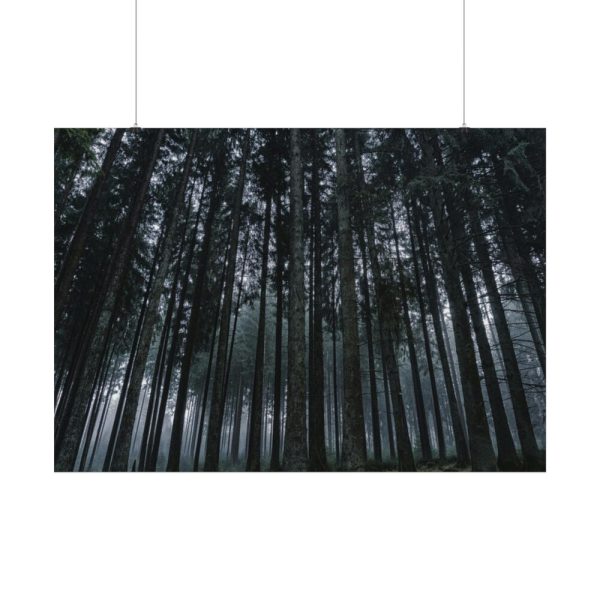 92408-446.jpg Cold Forests Trees Poster