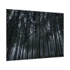 92408-447.jpg Cold Forests Trees Poster