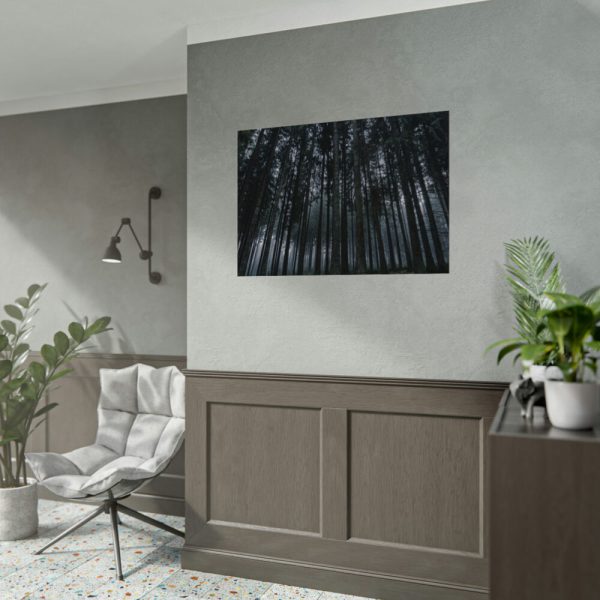 92408-449.jpg Cold Forests Trees Poster