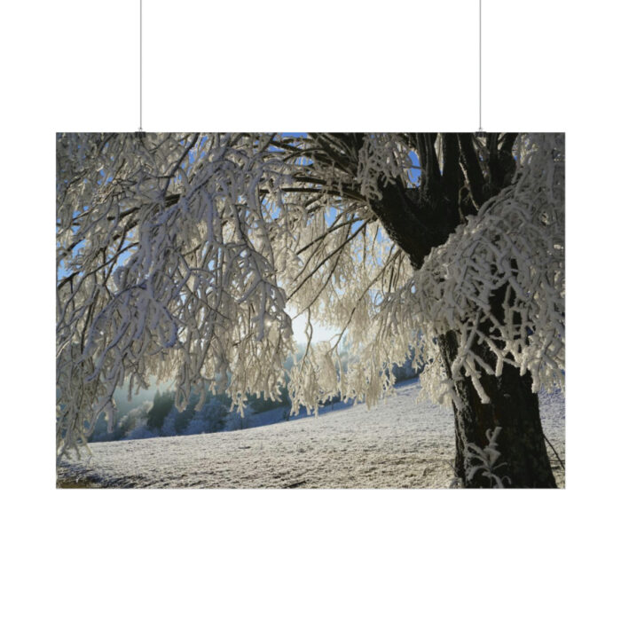 Tree Hoarfrost Poster - Image 2