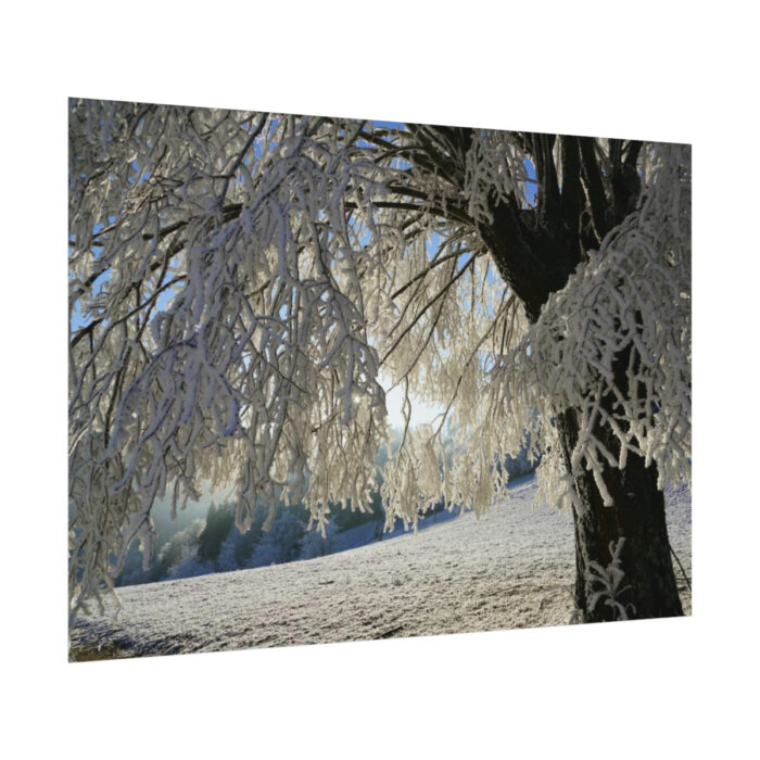 Tree Hoarfrost Poster - Image 3