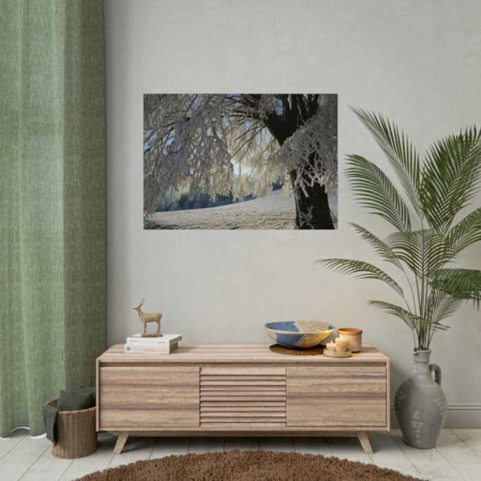 Tree Hoarfrost Poster - Image 4