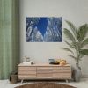 92408-458.jpg Snow Ponderosa Pines Trees Poster