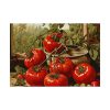 92408-520.jpg Cooking Tomatoes Poster