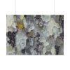 92408-536.jpg Tree Bark Texture Poster