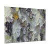 92408-537.jpg Tree Bark Texture Poster