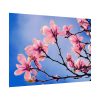 92408-607.jpg Spring Tree Poster