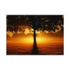 92408-610.jpg Sunrise Tree Silhouette Nature Poster