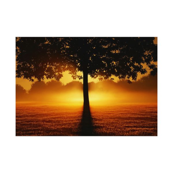 92408-610.jpg Sunrise Tree Silhouette Nature Poster