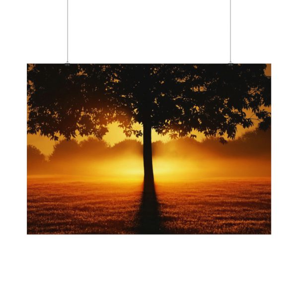 92408-611.jpg Sunrise Tree Silhouette Nature Poster