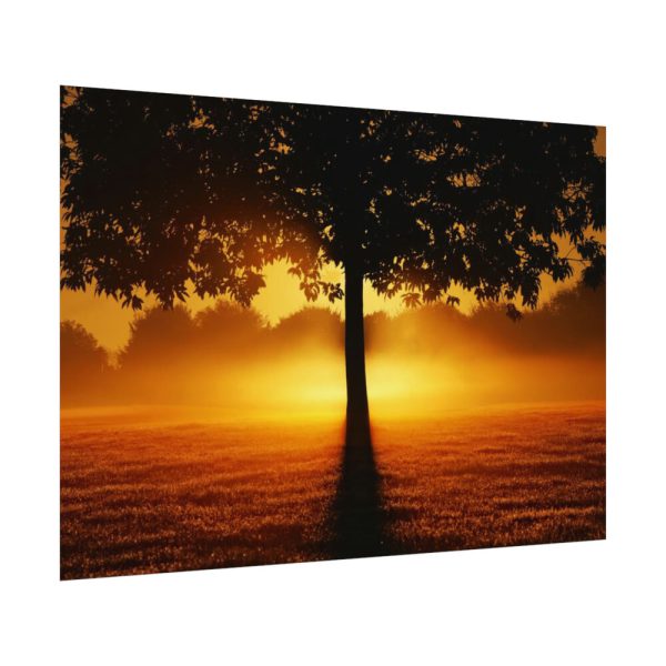 92408-612.jpg Sunrise Tree Silhouette Nature Poster