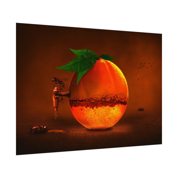 92408-652.jpg Orange Fruit Juice Poster
