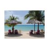 Sunny Beach With Palm Tree Poster