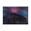 92408-715.jpg Tree Forest Starry Aurora Poster