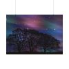 92408-716.jpg Tree Forest Starry Aurora Poster