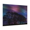 92408-717.jpg Tree Forest Starry Aurora Poster