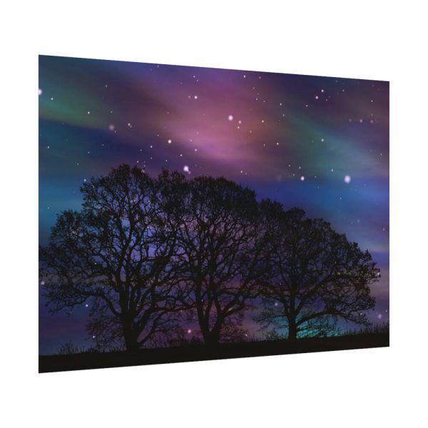 92408-717.jpg Tree Forest Starry Aurora Poster