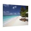 Tropical Beach, Trees, Shoreline in Summer Poster