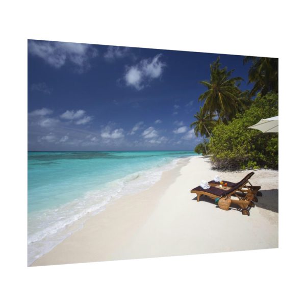 Tropical Beach, Trees, Shoreline in Summer Poster