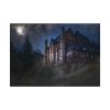 92408-75.jpg Mystical Castle in Dark Forest Poster