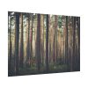 92408-817.jpg Thicket Pine Trees Poster