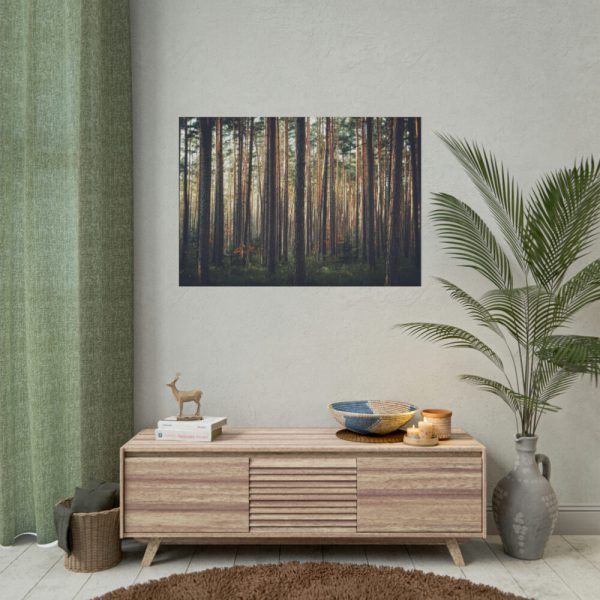 92408-818.jpg Thicket Pine Trees Poster