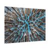 92408-837.jpg Trees Upward Poster
