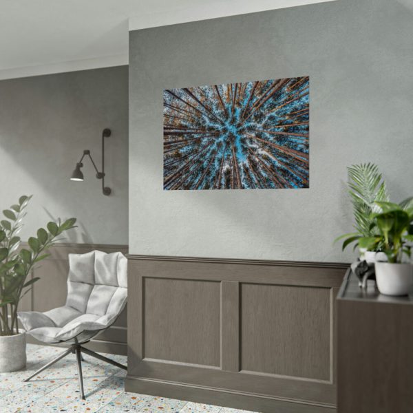 92408-839.jpg Trees Upward Poster