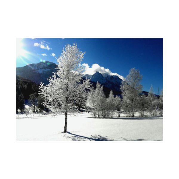 92408-875.jpg Blue Sky Cold Daylight Fosty Trees Poster