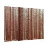 Forest Trees in Autumn Poster