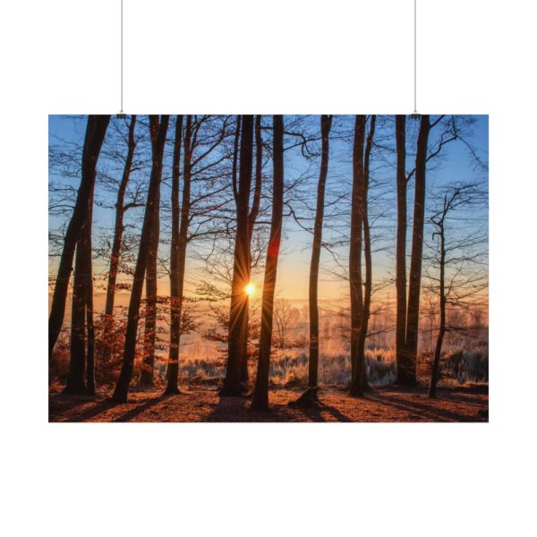 92408-896.jpg Sun and Trees Poster