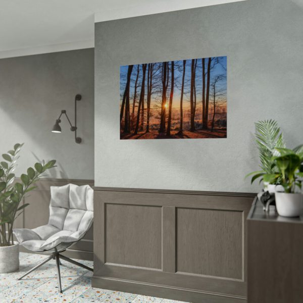 92408-899.jpg Sun and Trees Poster