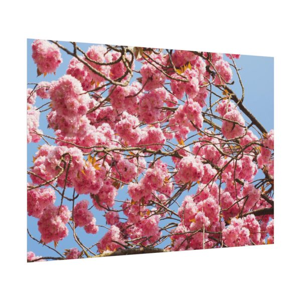 92408-912.jpg Japanese Cherry Tree Poster