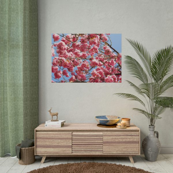92408-913.jpg Japanese Cherry Tree Poster