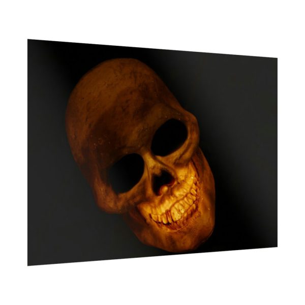 92409-117.jpg Human Skull in Dark Poster