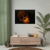 92409-118.jpg Human Skull in Dark Poster
