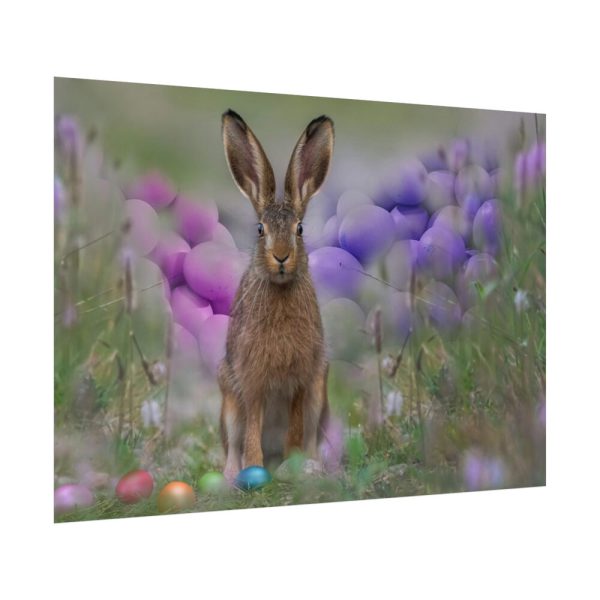 Easter Bunny Poster
