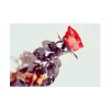 92409-30.jpg Rose Gift Flowers Poster