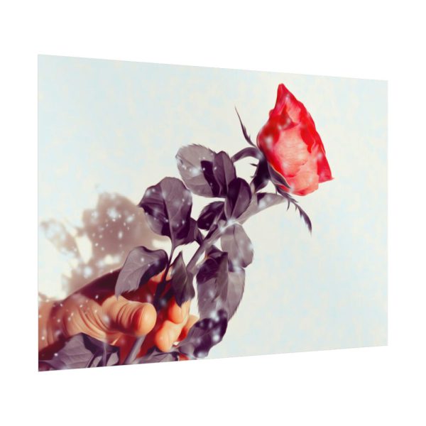 92409-32.jpg Rose Gift Flowers Poster