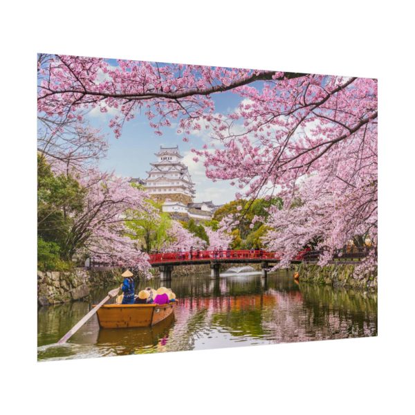 92409-327.jpg Cherry Blossom in Japan Poster