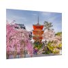 92409-332.jpg Cherry Blossom in Tokio Poster