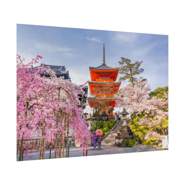 92409-332.jpg Cherry Blossom in Tokio Poster