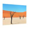 92409-347.jpg Dead Tree on Desert Poster