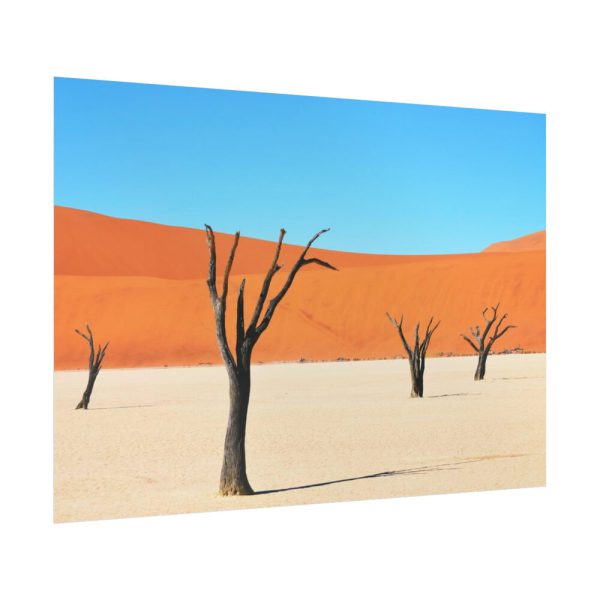 92409-347.jpg Dead Tree on Desert Poster