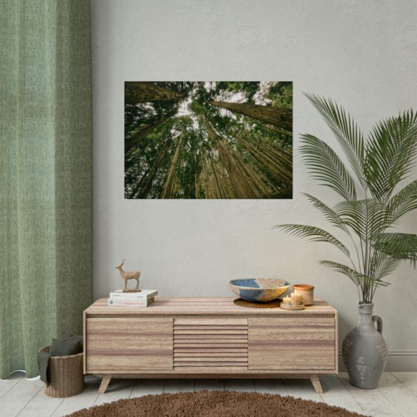 92409-433.jpg Perspective Tall High Up Trees Poster