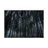 92409-440.jpg Cold Forests Trees Poster