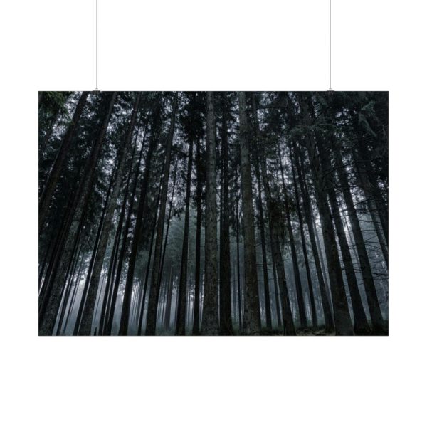 92409-441.jpg Cold Forests Trees Poster